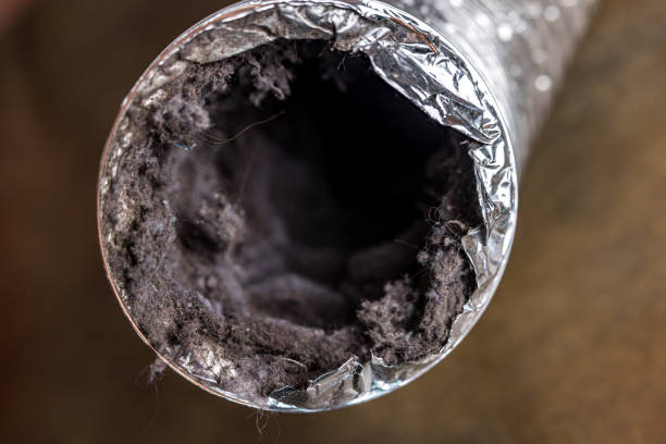 Best Air Duct Cleaning Company Near Me  in Chesaning, MI