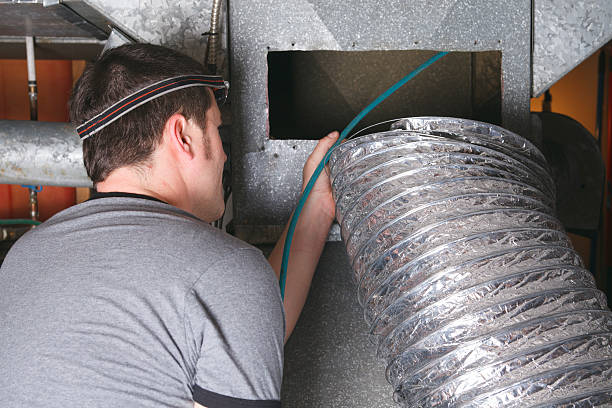 Best Air Vent Cleaning Services  in Chesaning, MI
